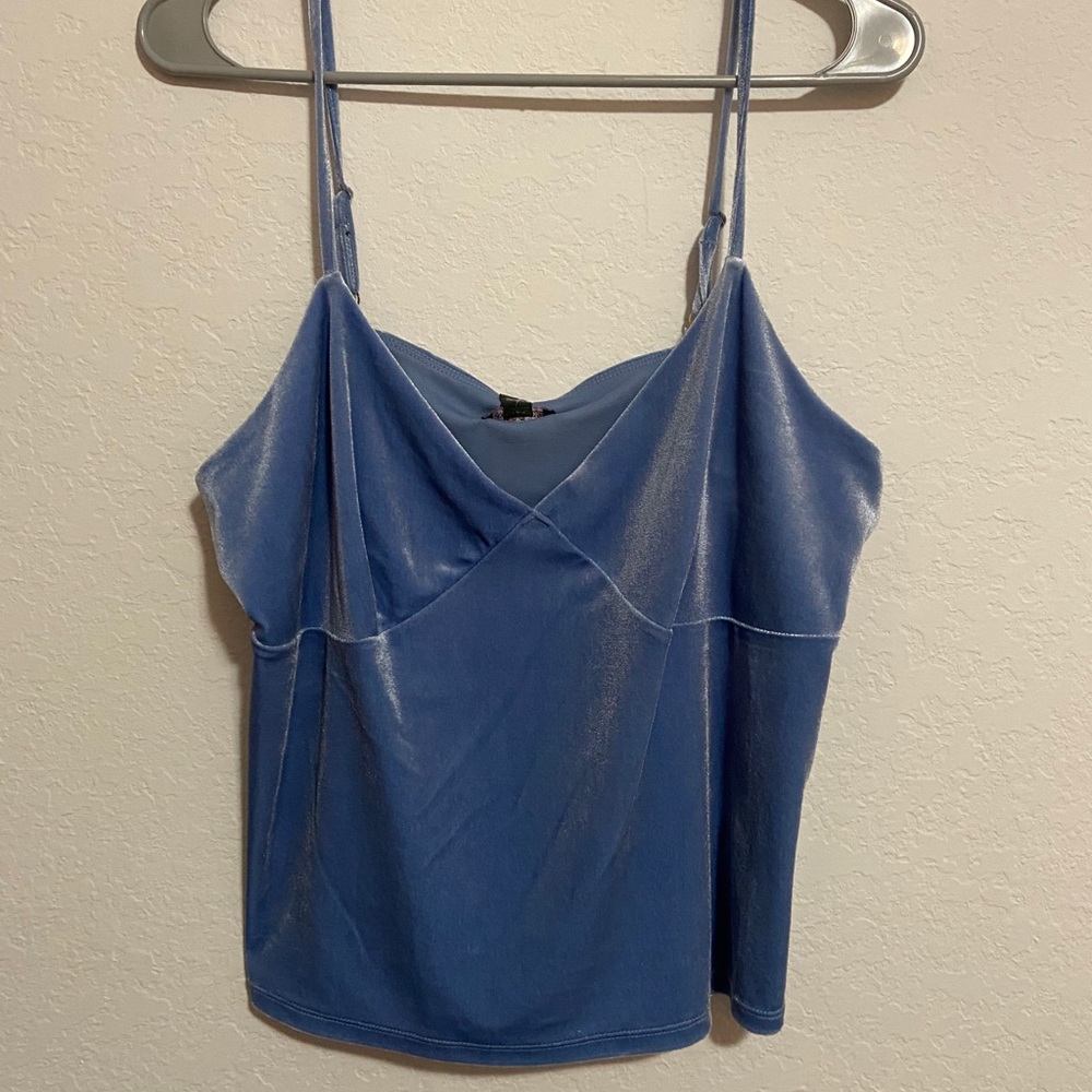 NWT Blue Velvet Cropped Tank